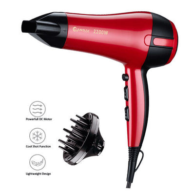 Professional Hair Dryer Blower with Diffuser Styling Concentrator Head Dry 2200W